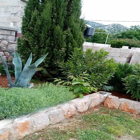 Apartments Paola Karlobag Rom bilde